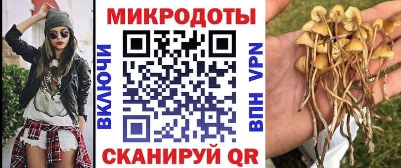 Псилоцибиновые грибы Psilocybine cubensis где купить наркоту OMG как войти Гурьевск