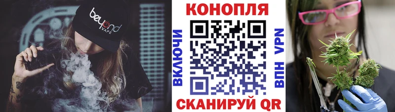 omg как войти  Гурьевск  Канабис сатива 